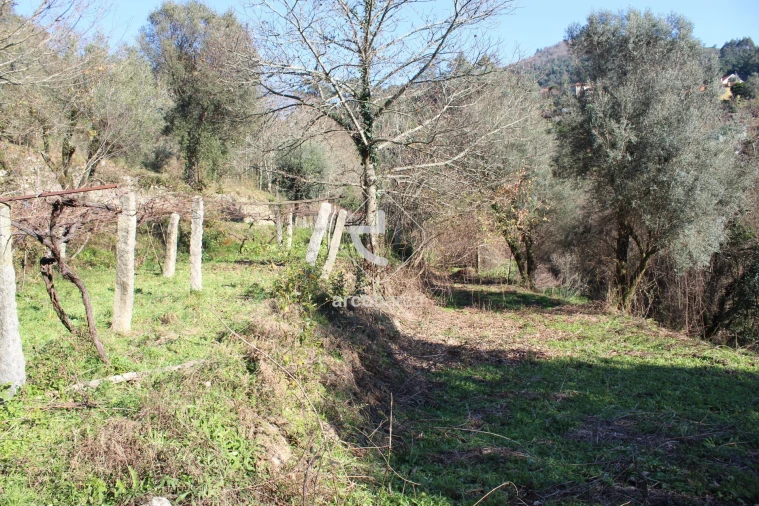 Terreno para Venda em Bárrio e Cepões Foto 4