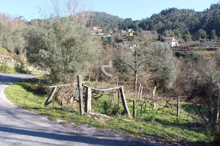 Terreno para Venda em Bárrio e Cepões Foto 31