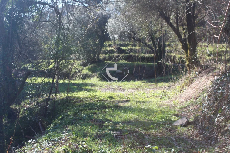 Terreno para Venda em Bárrio e Cepões Foto 20