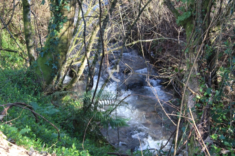 Terreno para Venda em Bárrio e Cepões Foto 29