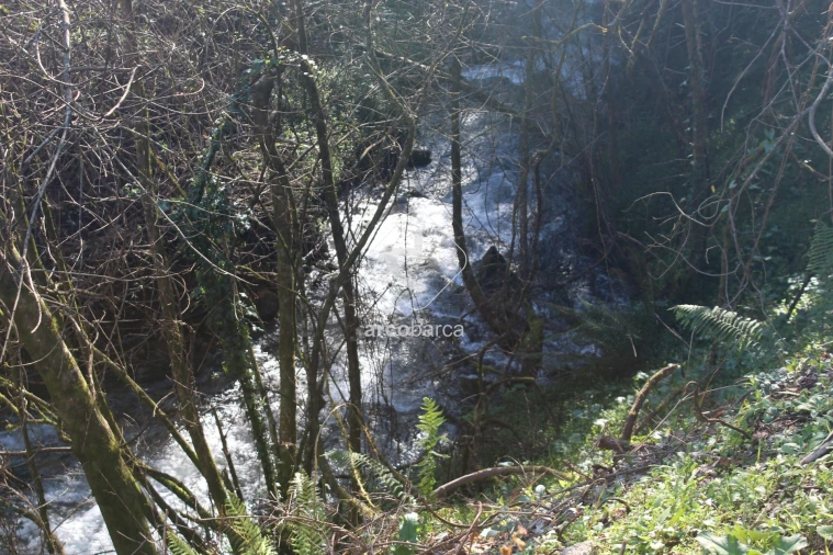 Terreno para Venda em Bárrio e Cepões Foto 21