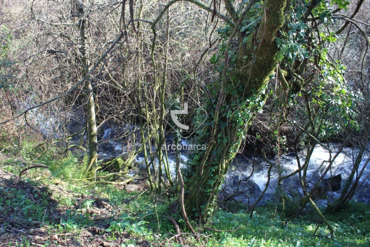 Terreno para Venda em Bárrio e Cepões Foto 24