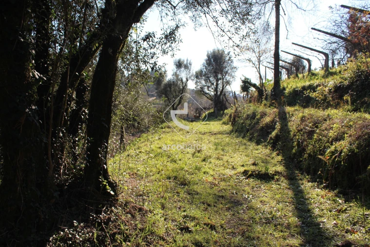 Terreno para Venda em Bárrio e Cepões Foto 16