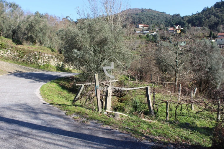 Terreno para Venda em Bárrio e Cepões