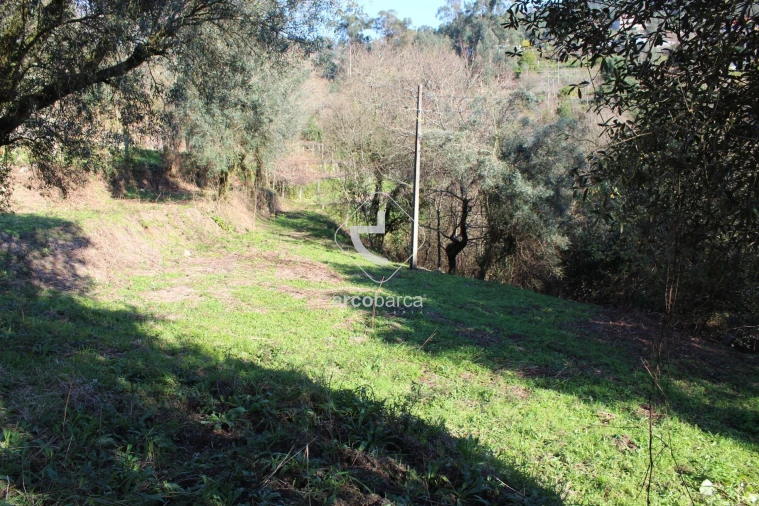 Terreno para Venda em Bárrio e Cepões Foto 15