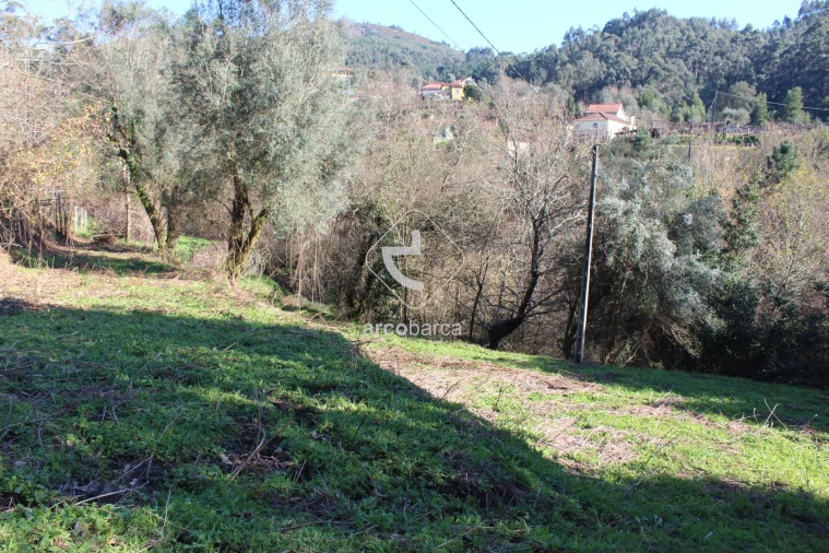 Terreno para Venda em Bárrio e Cepões Foto 30