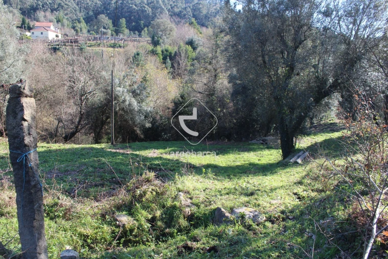 Terreno para Venda em Bárrio e Cepões Foto 2