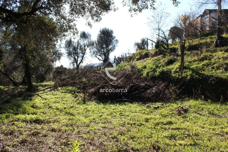 Terreno para Venda em Bárrio e Cepões Foto 7