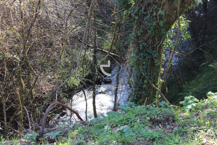 Terreno para Venda em Bárrio e Cepões Foto 19