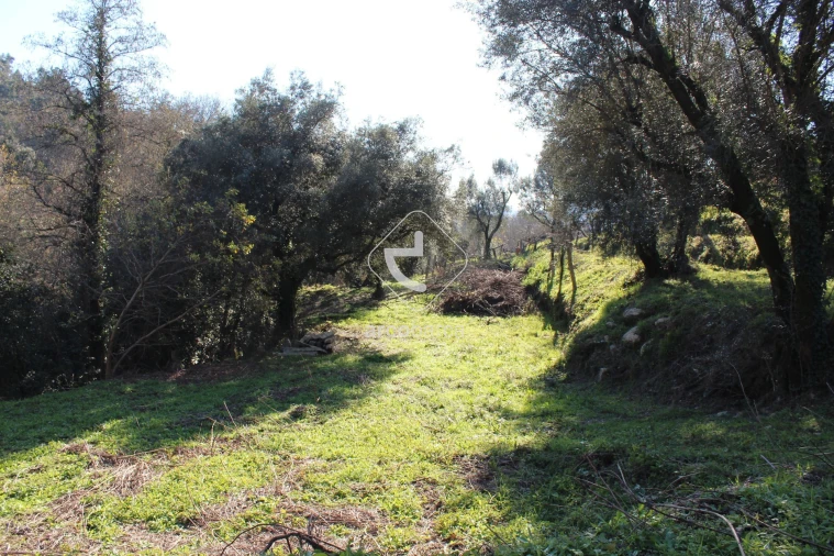 Terreno para Venda em Bárrio e Cepões Foto 17