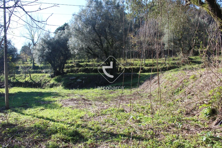 Terreno para Venda em Bárrio e Cepões Foto 25