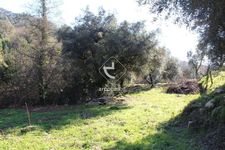 Terreno para Venda em Bárrio e Cepões Foto 5