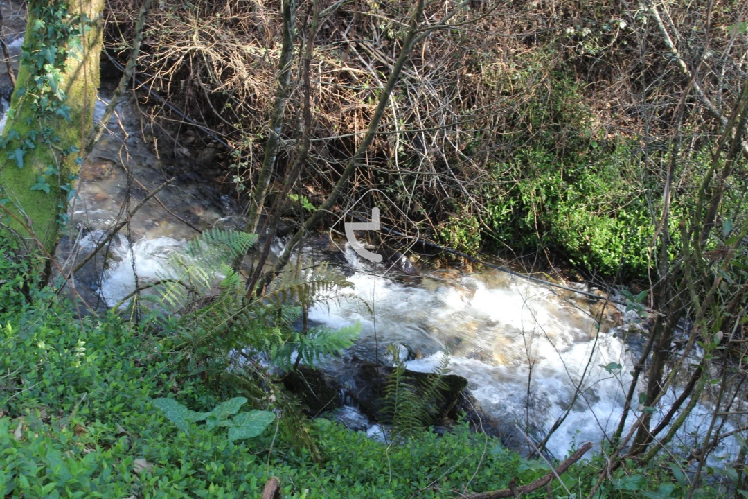 Terreno para Venda em Bárrio e Cepões Foto 26