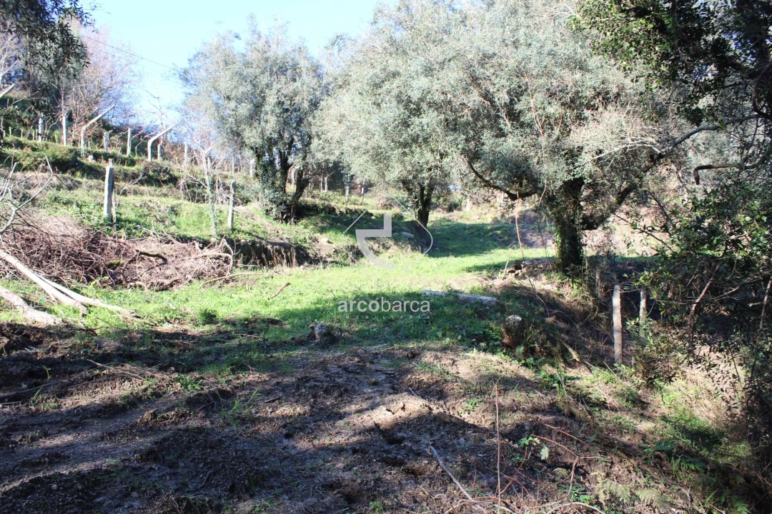 Terreno para Venda em Bárrio e Cepões Foto 11