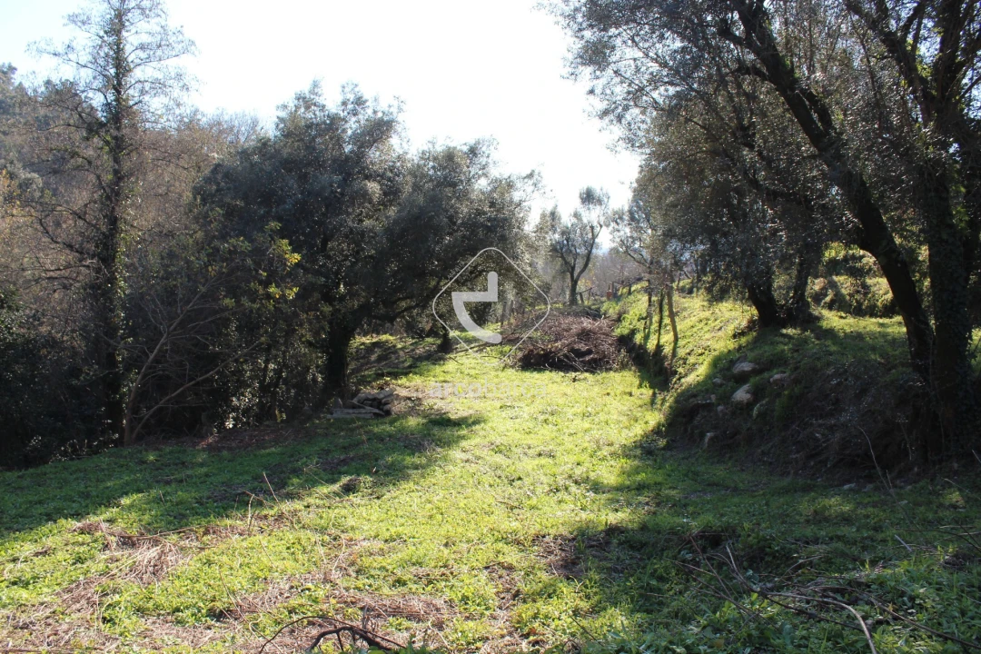 Terreno para Venda em Bárrio e Cepões Foto 17