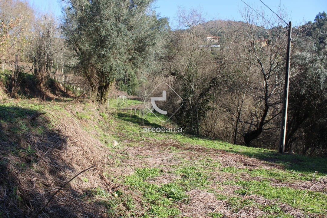 Terreno para Venda em Bárrio e Cepões Foto 6