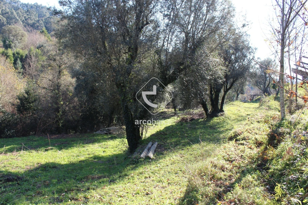 Terreno para Venda em Bárrio e Cepões Foto 3