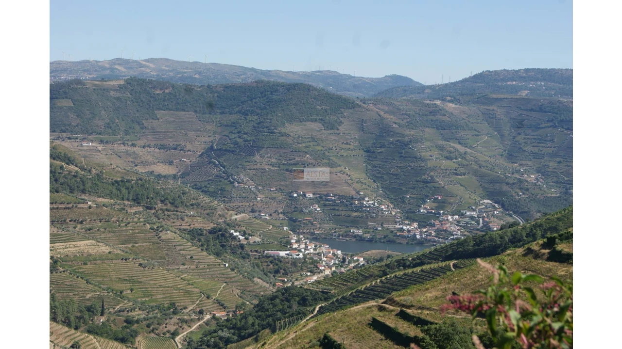 Quinta T6 para Venda em Poiares Foto 13