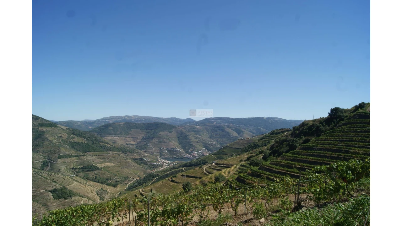 Quinta T6 para Venda em Poiares Foto 9