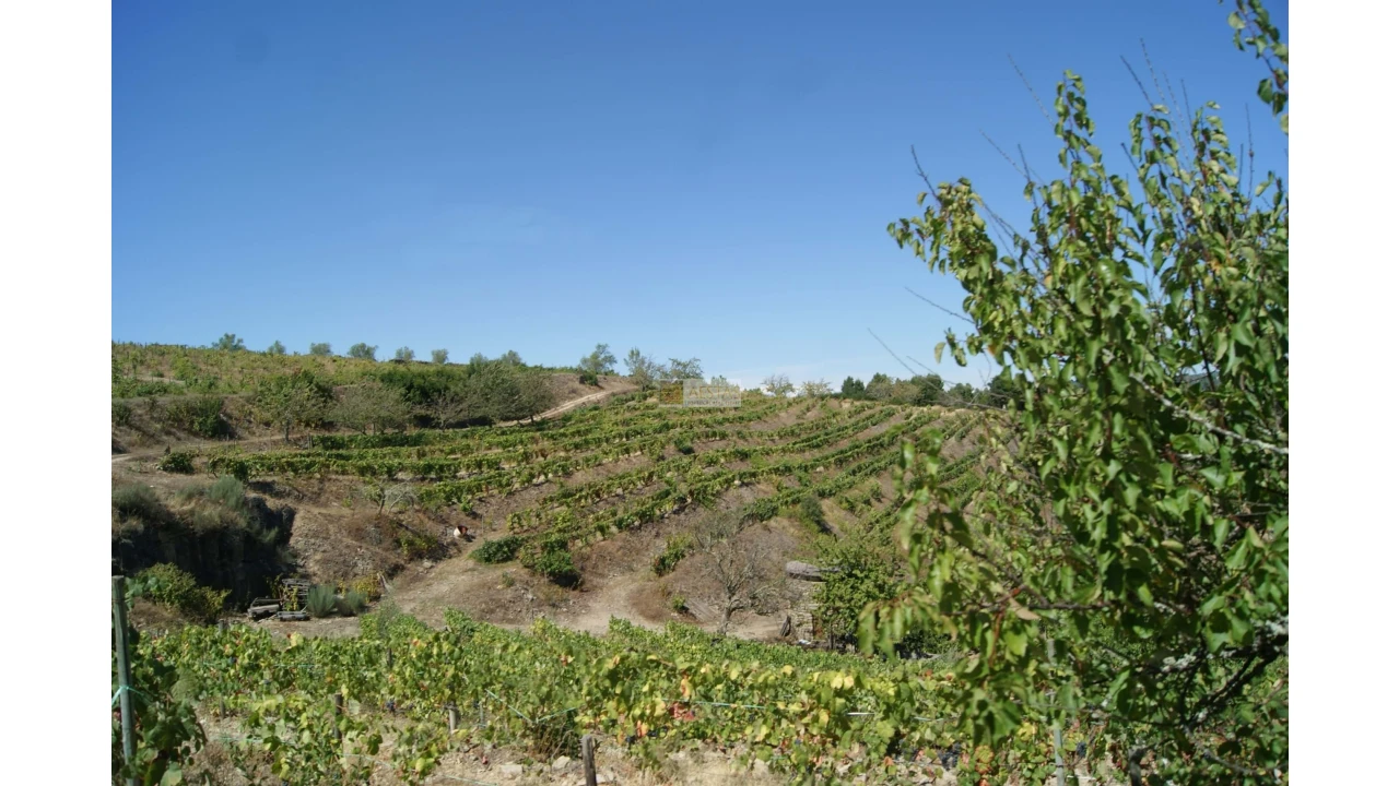 Quinta T6 para Venda em Poiares Foto 2