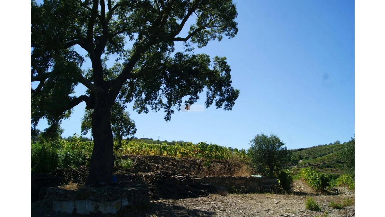 Quinta T6 para Venda em Poiares Foto 11