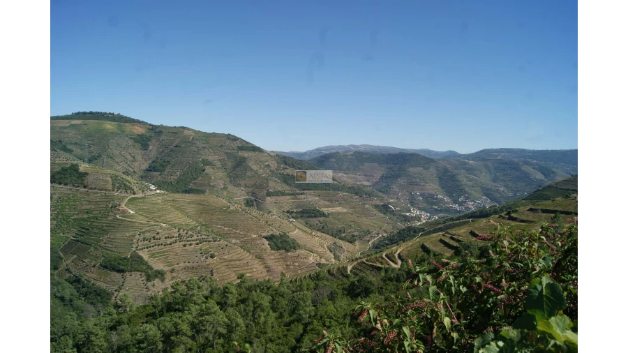 Quinta T6 para Venda em Poiares Foto 12