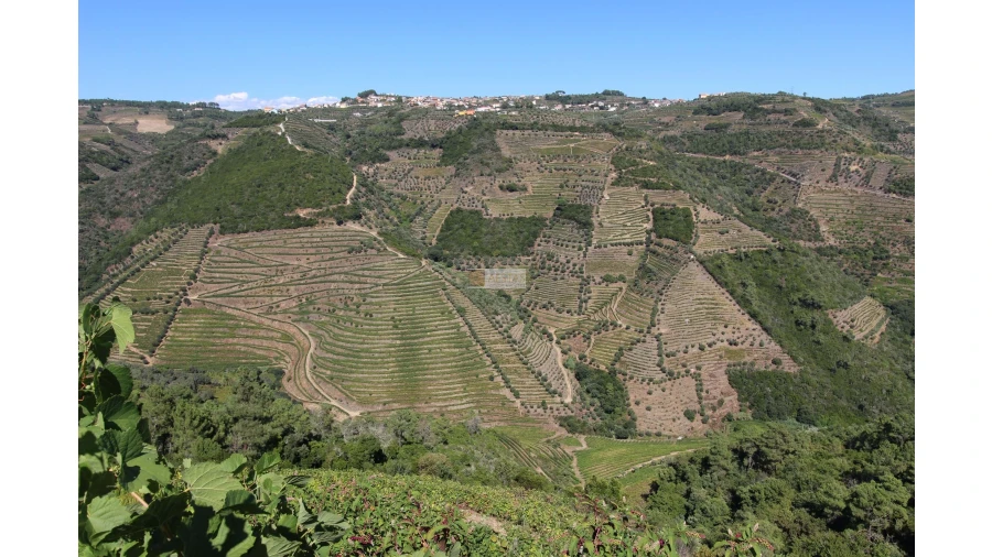 Quinta T6 para Venda em Poiares Foto 17