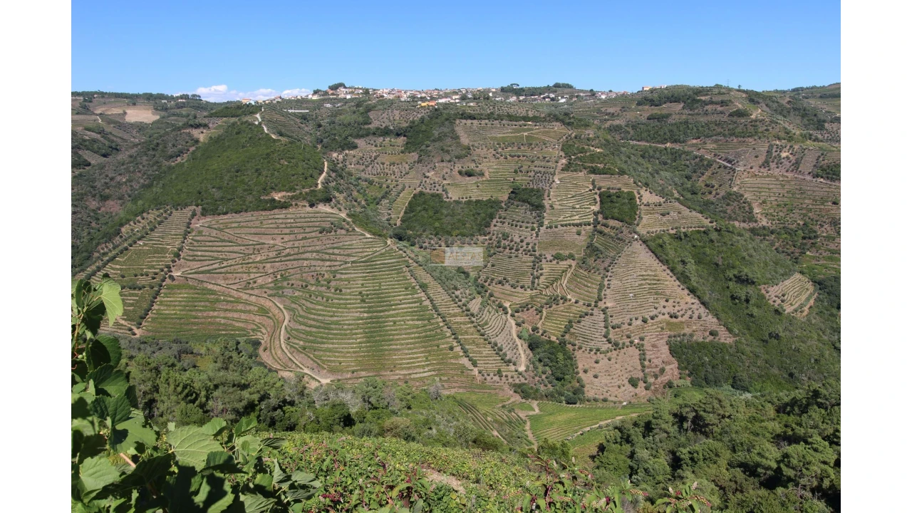 Quinta T6 para Venda em Poiares Foto 17