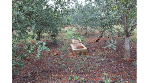 Moradia T6 para Venda em Santa Barbara de Nexe