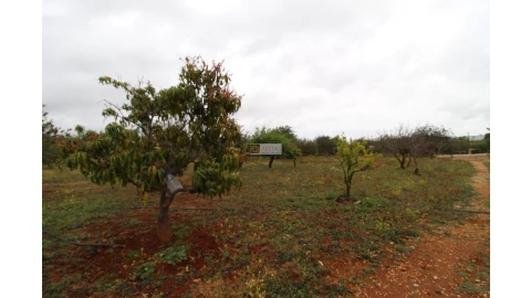 Moradia T6 para Venda em Santa Barbara de Nexe