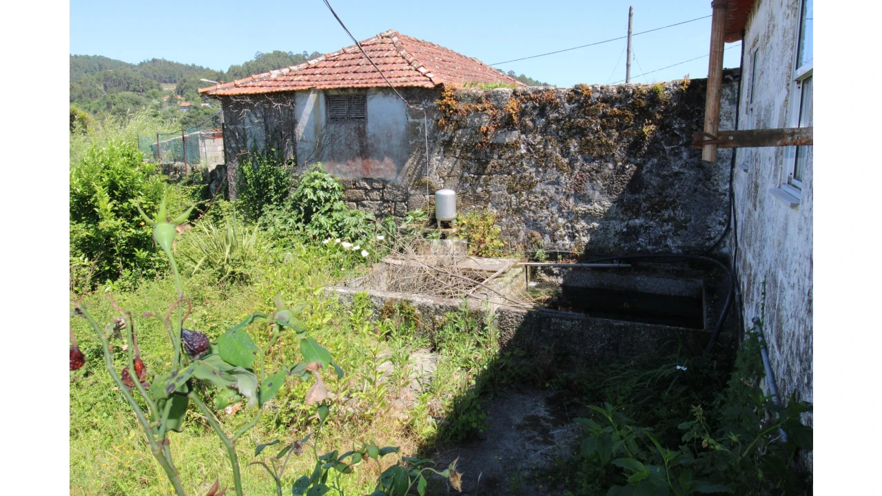 Quinta T5 para Venda em Santa Maria de Sardoura Foto 27