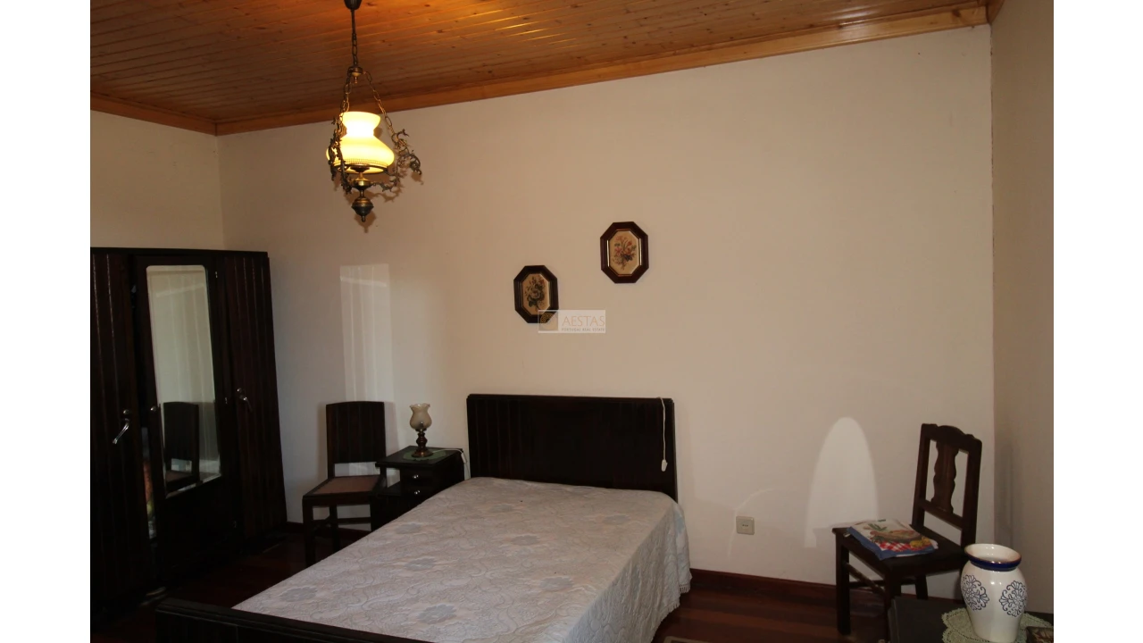 Quinta T5 para Venda em Santa Maria de Sardoura Foto 19