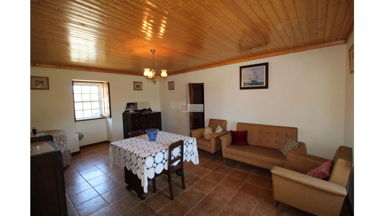 Quinta T5 para Venda em Santa Maria de Sardoura Foto 15