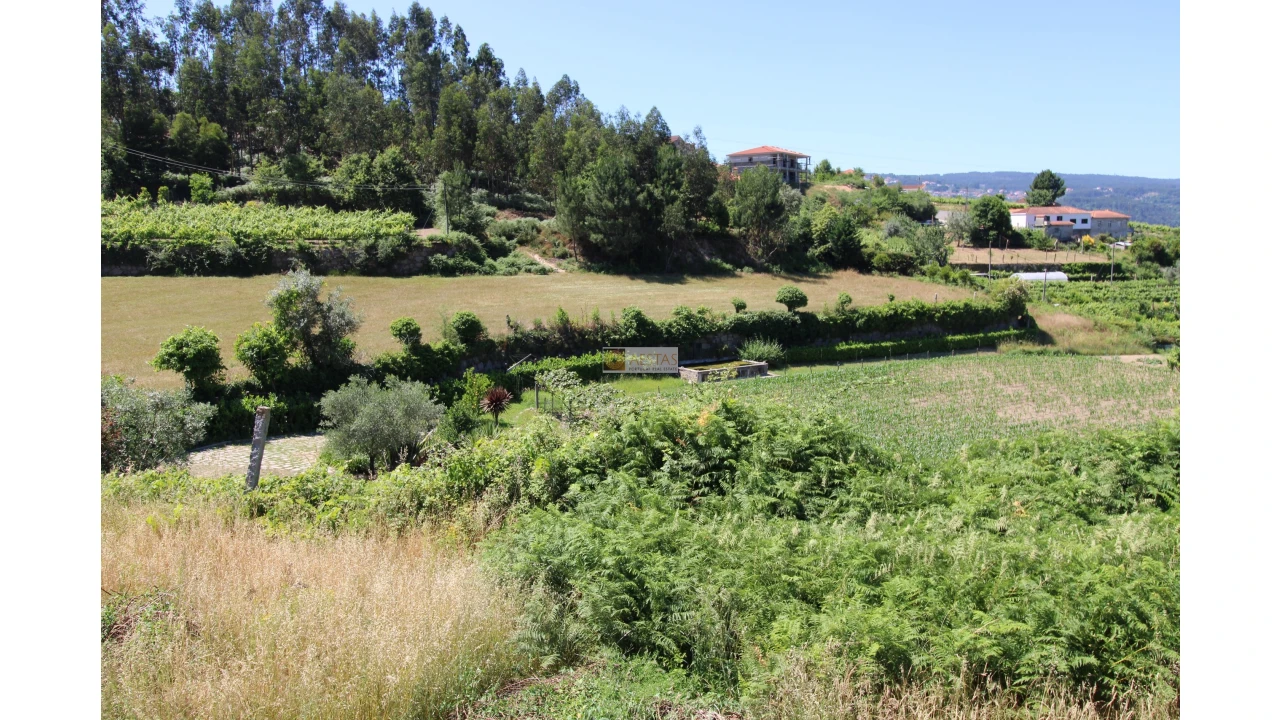 Quinta T5 para Venda em Santa Maria de Sardoura Foto 25