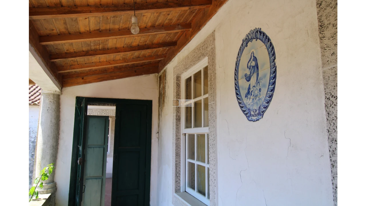 Quinta T5 para Venda em Santa Maria de Sardoura Foto 34