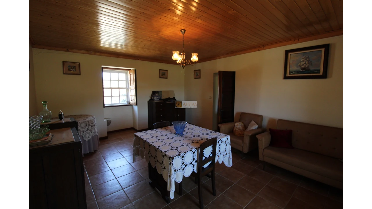 Quinta T5 para Venda em Santa Maria de Sardoura Foto 12