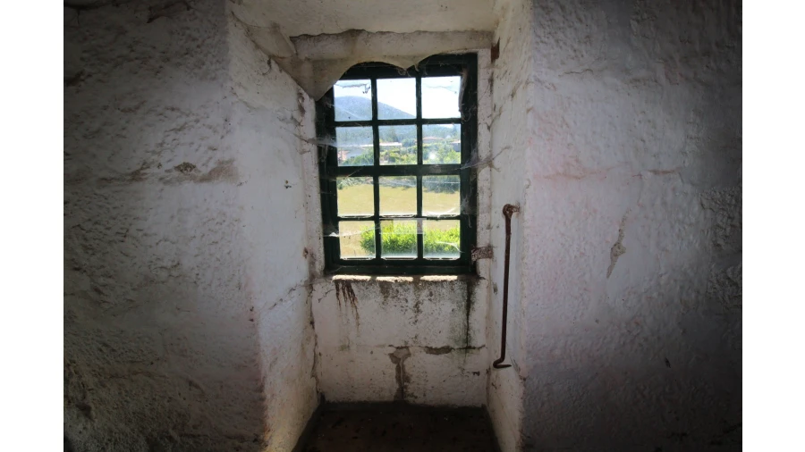 Quinta T5 para Venda em Santa Maria de Sardoura Foto 41