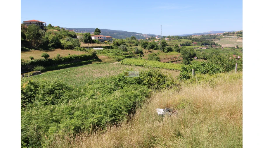 Quinta T5 para Venda em Santa Maria de Sardoura Foto 24