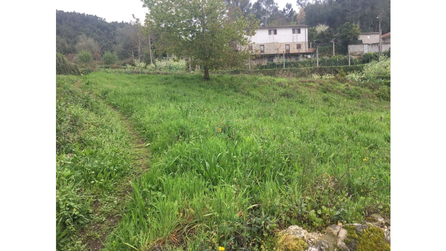 Terreno para Venda em Ponte da Barca, V.N. Muía, Paço Vedro Magalhães Foto 4