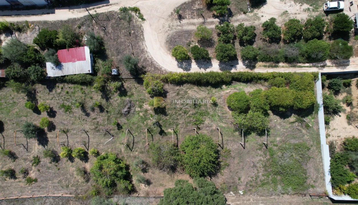Terreno para Venda em Marvila, Ribeira Santarém, São Salvador, São Nicolau Foto 6