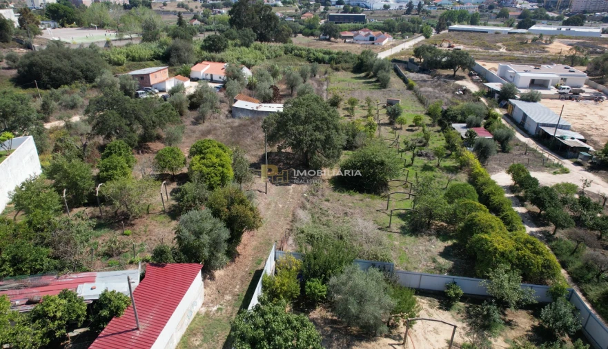 Terreno para Venda em Marvila, Ribeira Santarém, São Salvador, São Nicolau Foto 5