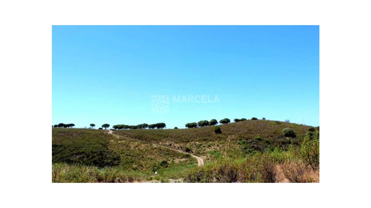 Terreno Agricola ou Rústico para Venda em Lagos (São Sebastião e Santa Maria) Foto 6