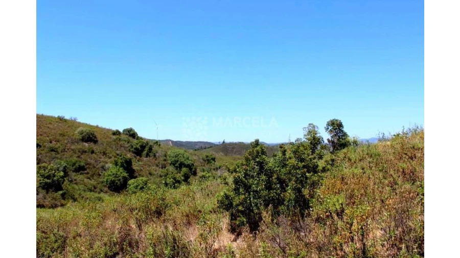Terreno Agricola ou Rústico para Venda em Lagos (São Sebastião e Santa Maria) Foto 3