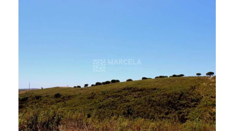 Terreno Agricola ou Rústico para Venda em Lagos (São Sebastião e Santa Maria) Foto 7
