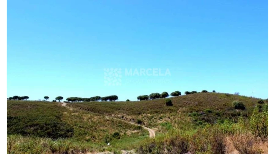 Terreno Agricola ou Rústico para Venda em Lagos (São Sebastião e Santa Maria) Foto 6