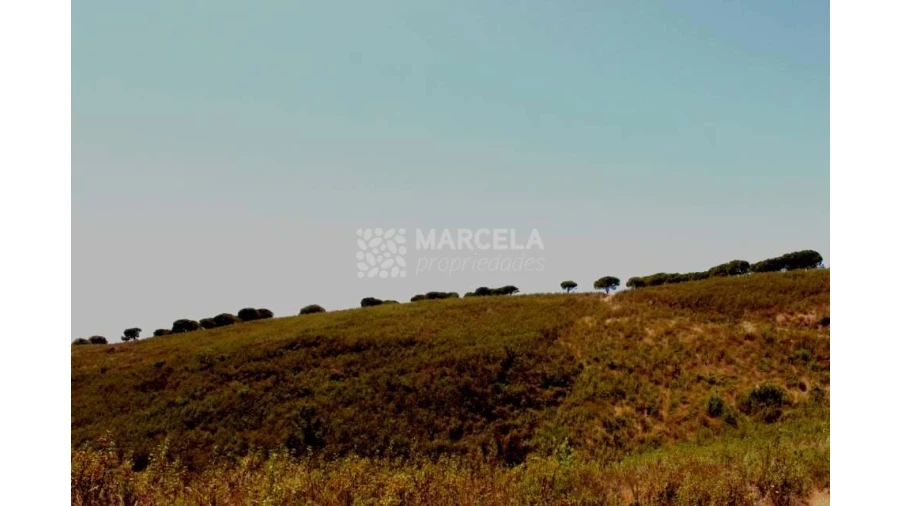 Terreno Agricola ou Rústico para Venda em Lagos (São Sebastião e Santa Maria) Foto 8