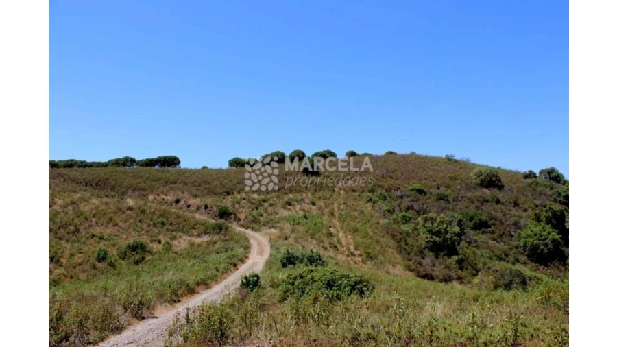 Terreno Agricola ou Rústico para Venda em Lagos (São Sebastião e Santa Maria) Foto 5