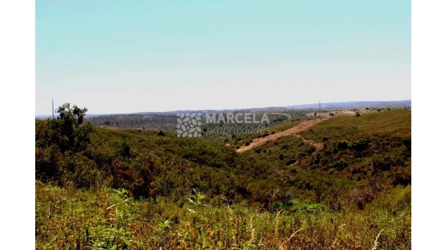 Terreno Agricola ou Rústico para Venda em Lagos (São Sebastião e Santa Maria) Foto 9