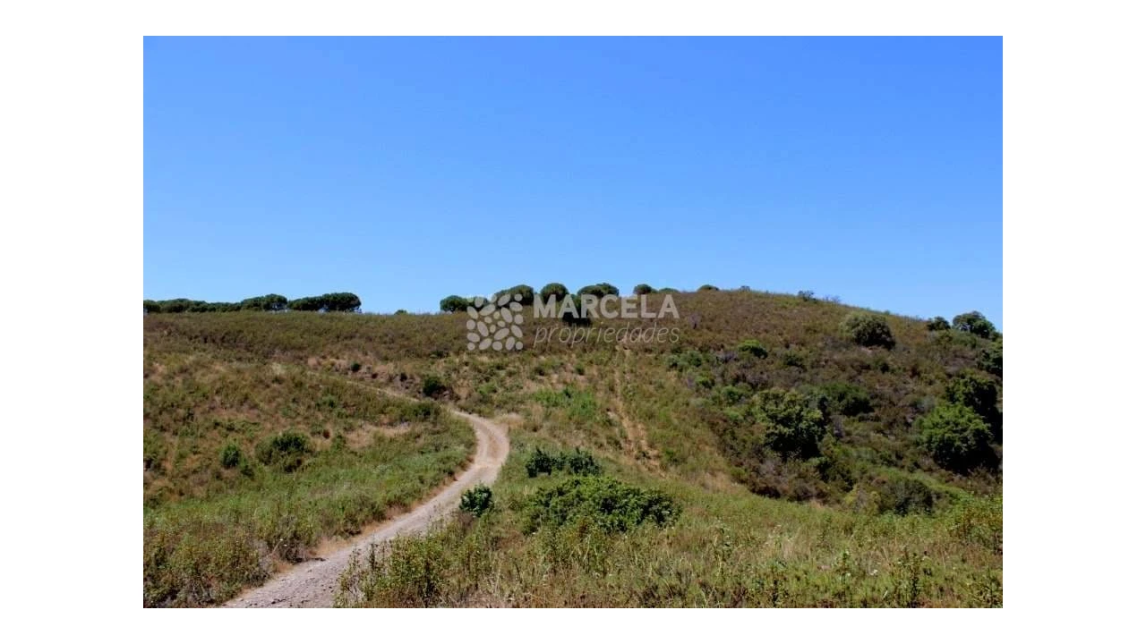 Terreno Agricola ou Rústico para Venda em Lagos (São Sebastião e Santa Maria) Foto 5