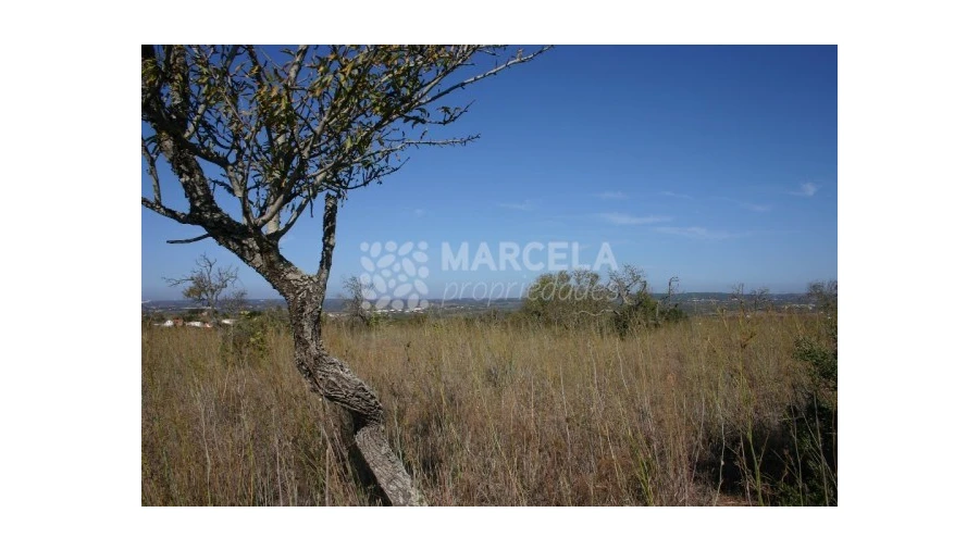 Terreno Agricola ou Rústico para Venda em Luz Foto 2